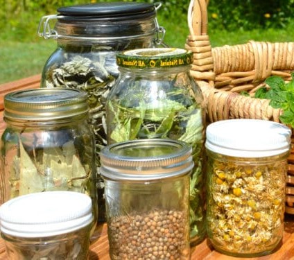 Dehydrated Leafy Greens & Herbs