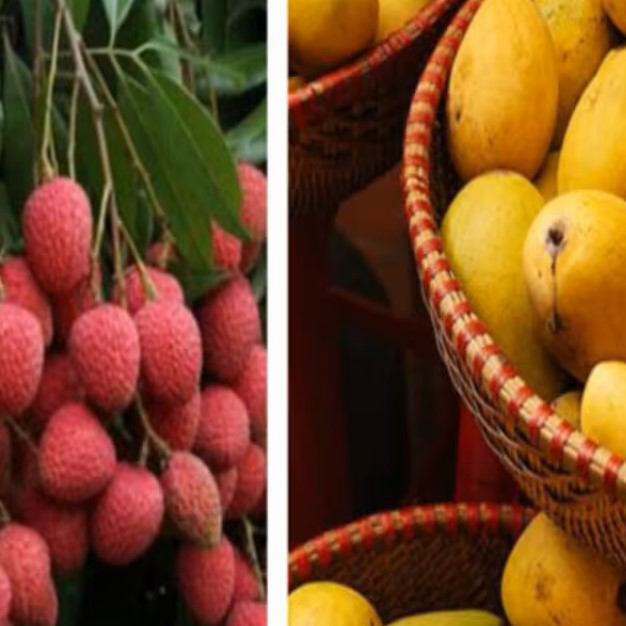 MANGO AND GRAPES( SEASONAL)