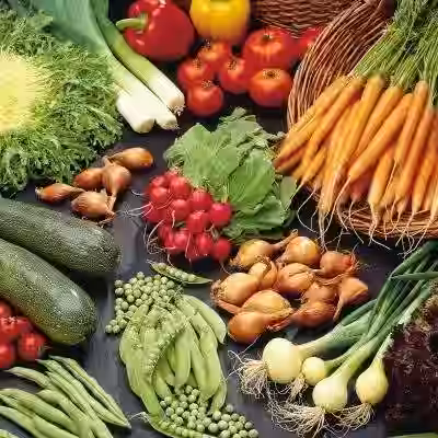 Fresh Export Produce