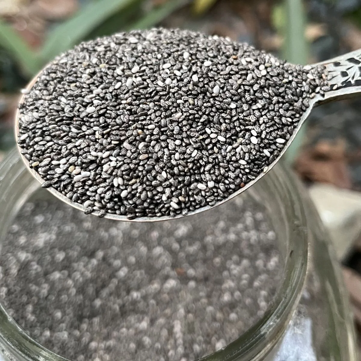 Chia-seeds