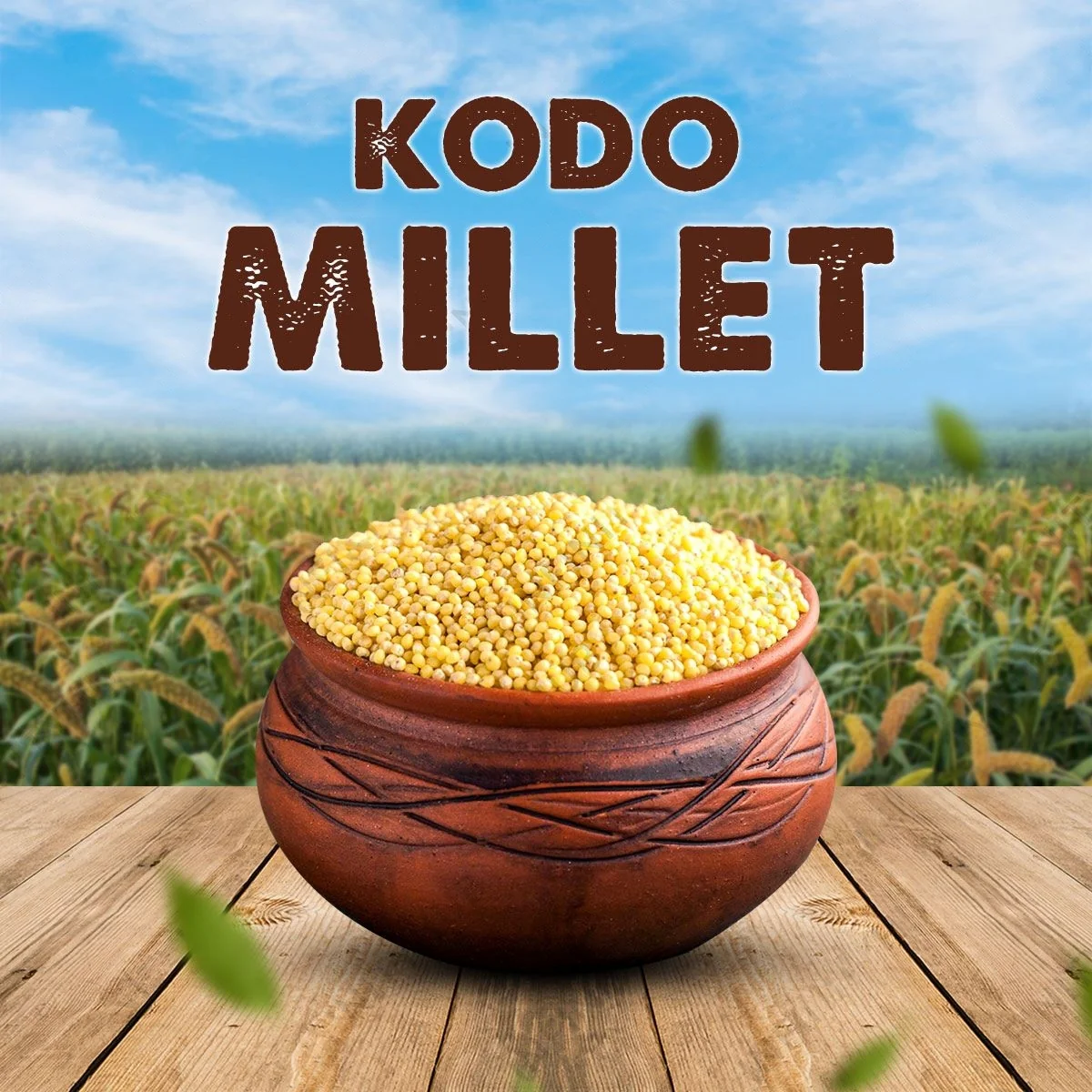 Kodo Millet