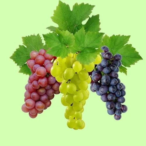 GRAPES